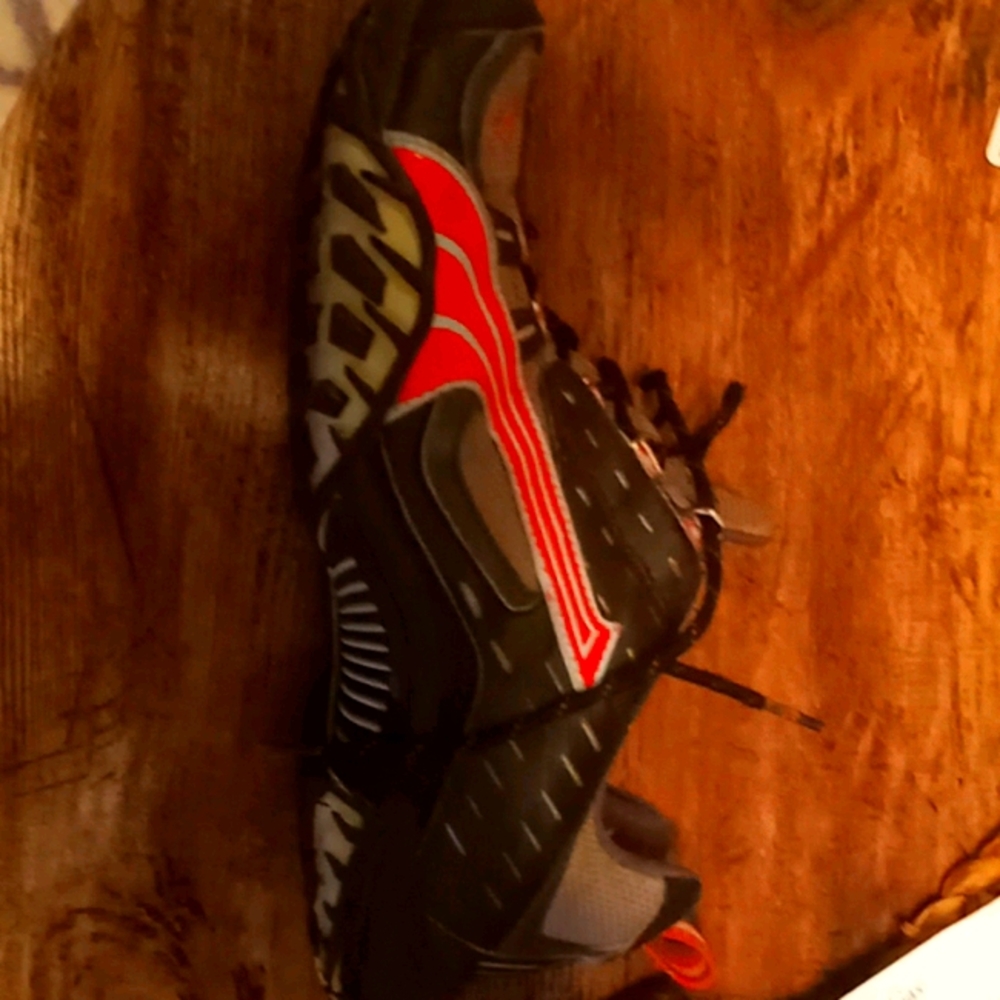 Puma cell